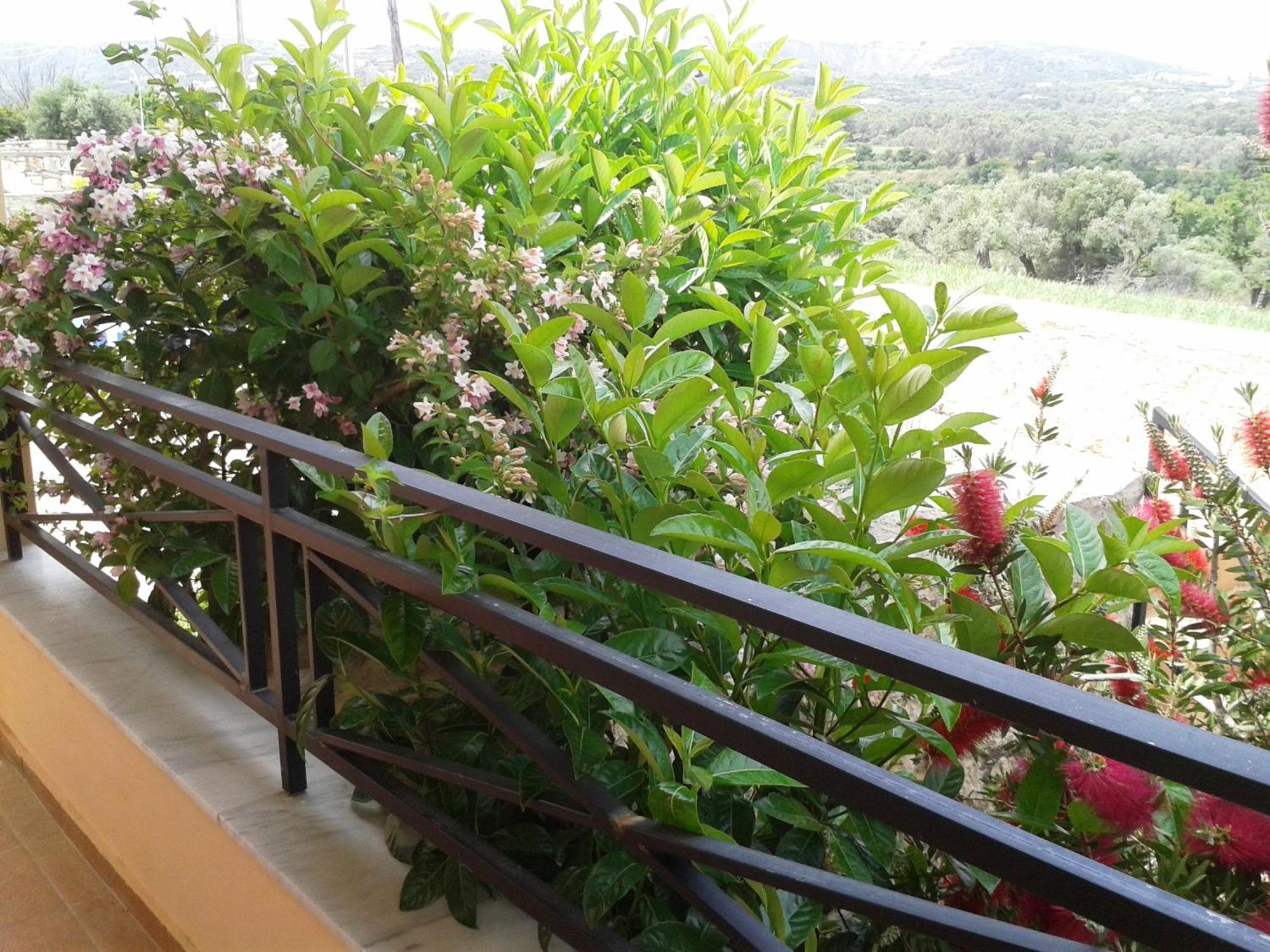 Helidonia Villas Pigí Habitación foto